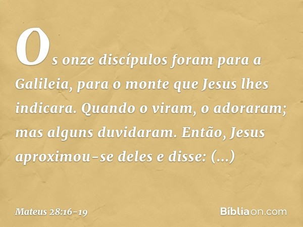 Os onze discípulos foram para a Galileia, para o monte que Jesus lhes indicara. Quando o viram, o adoraram; mas alguns duvidaram. Então, Jesus aproximou-se dele