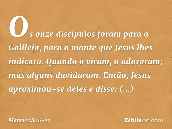 Os onze discípulos foram para a Galileia, para o monte que Jesus lhes indicara. Quando o viram, o adoraram; mas alguns duvidaram. Então, Jesus aproximou-se dele