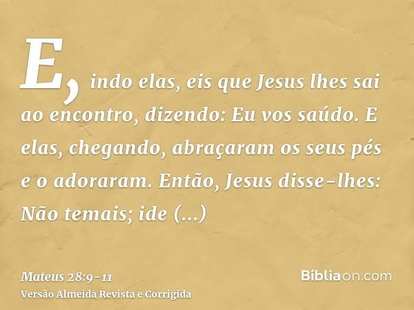 E, indo elas, eis que Jesus lhes sai ao encontro, dizendo: Eu vos saúdo. E elas, chegando, abraçaram os seus pés e o adoraram.Então, Jesus disse-lhes: Não temai