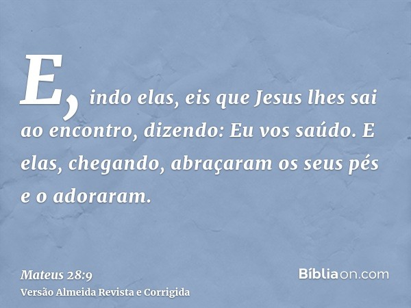 E, indo elas, eis que Jesus lhes sai ao encontro, dizendo: Eu vos saúdo. E elas, chegando, abraçaram os seus pés e o adoraram.