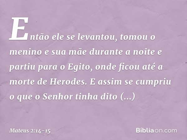 Então ele se levantou, tomou o menino e sua mãe durante a noite e partiu para o Egito, onde ficou até a morte de Herodes. E assim se cumpriu o que o Senhor tinh