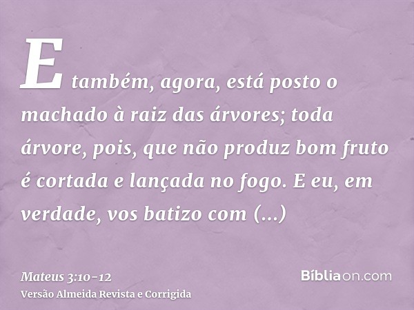 E também, agora, está posto o machado à raiz das árvores; toda árvore, pois, que não produz bom fruto é cortada e lançada no fogo.E eu, em verdade, vos batizo c