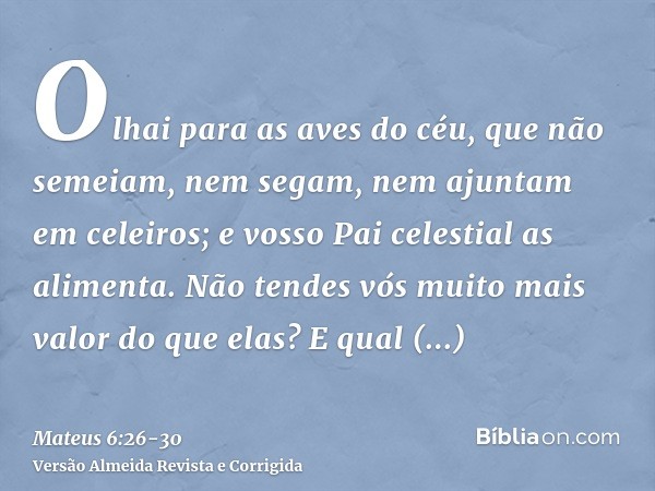 Olhai para as aves do céu, que não semeiam, nem segam, nem ajuntam em celeiros; e vosso Pai celestial as alimenta. Não tendes vós muito mais valor do que elas?E