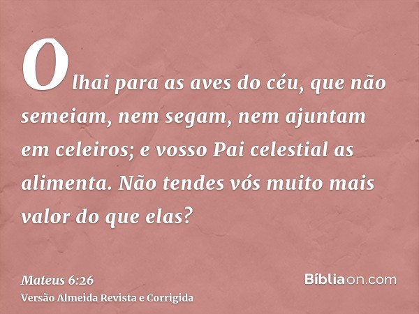 Olhai para as aves do céu, que não semeiam, nem segam, nem ajuntam em celeiros; e vosso Pai celestial as alimenta. Não tendes vós muito mais valor do que elas?