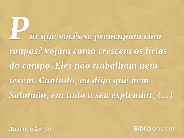 "Por que vocês se preocupam com roupas? Vejam como crescem os lírios do campo. Eles não trabalham nem tecem. Contudo, eu digo que nem Salomão, em todo o seu esp