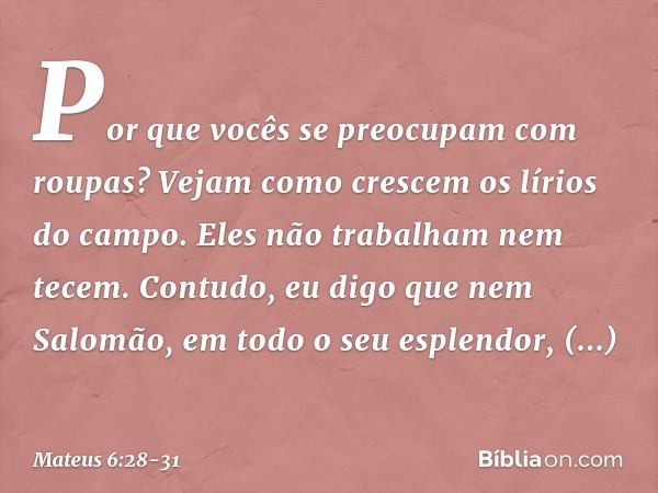 "Por que vocês se preocupam com roupas? Vejam como crescem os lírios do campo. Eles não trabalham nem tecem. Contudo, eu digo que nem Salomão, em todo o seu esp