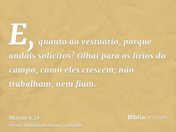 E, quanto ao vestuário, porque andais solícitos? Olhai para os lírios do campo, como eles crescem; não trabalham, nem fiam.