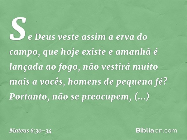 Se Deus veste assim a erva do campo, que hoje existe e amanhã é lançada ao fogo, não vestirá muito mais a vocês, homens de pequena fé? Portanto, não se preocupe