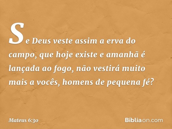 Se Deus veste assim a erva do campo, que hoje existe e amanhã é lançada ao fogo, não vestirá muito mais a vocês, homens de pequena fé? -- Mateus 6:30