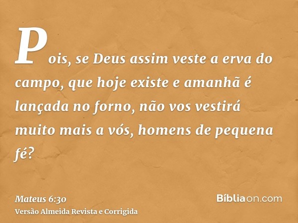 Pois, se Deus assim veste a erva do campo, que hoje existe e amanhã é lançada no forno, não vos vestirá muito mais a vós, homens de pequena fé?
