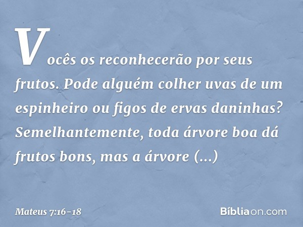 Vocês os reconhecerão por seus frutos. Pode alguém colher uvas de um espinheiro ou figos de ervas daninhas? Semelhantemente, toda árvore boa dá frutos bons, mas