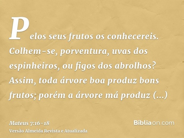 Pelos seus frutos os conhecereis. Colhem-se, porventura, uvas dos espinheiros, ou figos dos abrolhos?Assim, toda árvore boa produz bons frutos; porém a árvore m