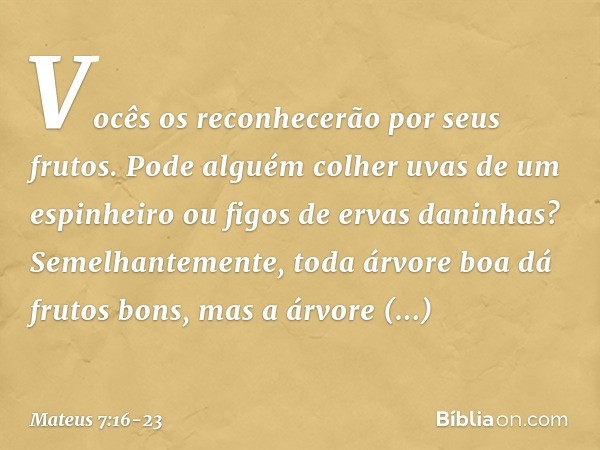 Vocês os reconhecerão por seus frutos. Pode alguém colher uvas de um espinheiro ou figos de ervas daninhas? Semelhantemente, toda árvore boa dá frutos bons, mas