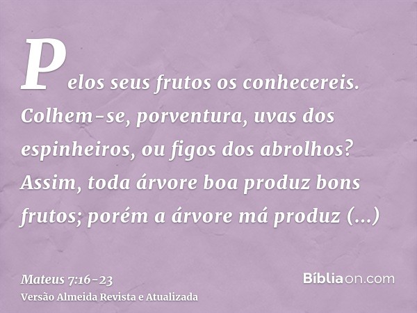 Pelos seus frutos os conhecereis. Colhem-se, porventura, uvas dos espinheiros, ou figos dos abrolhos?Assim, toda árvore boa produz bons frutos; porém a árvore m