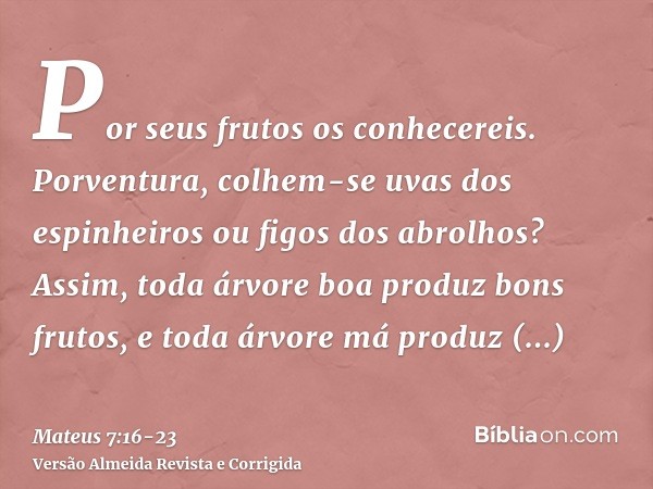 Por seus frutos os conhecereis. Porventura, colhem-se uvas dos espinheiros ou figos dos abrolhos?Assim, toda árvore boa produz bons frutos, e toda árvore má pro