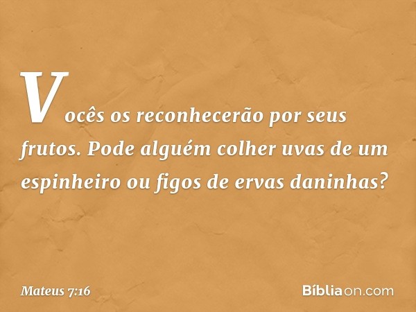 Vocês os reconhecerão por seus frutos. Pode alguém colher uvas de um espinheiro ou figos de ervas daninhas? -- Mateus 7:16