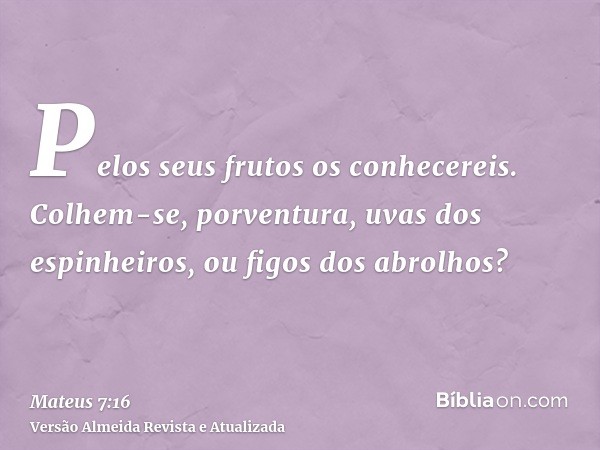 Pelos seus frutos os conhecereis. Colhem-se, porventura, uvas dos espinheiros, ou figos dos abrolhos?