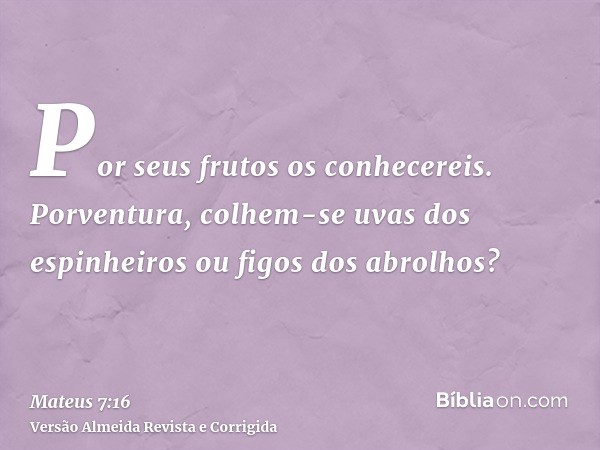 Por seus frutos os conhecereis. Porventura, colhem-se uvas dos espinheiros ou figos dos abrolhos?