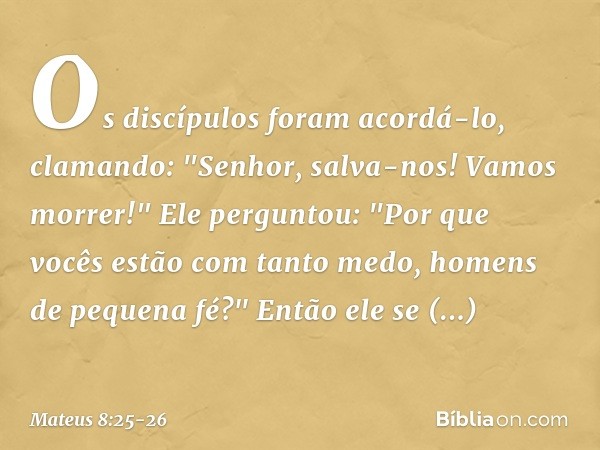 Os discípulos foram acordá-lo, clamando: "Senhor, salva-nos! Vamos morrer!" Ele perguntou: "Por que vocês estão com tanto medo, homens de pequena fé?" Então ele