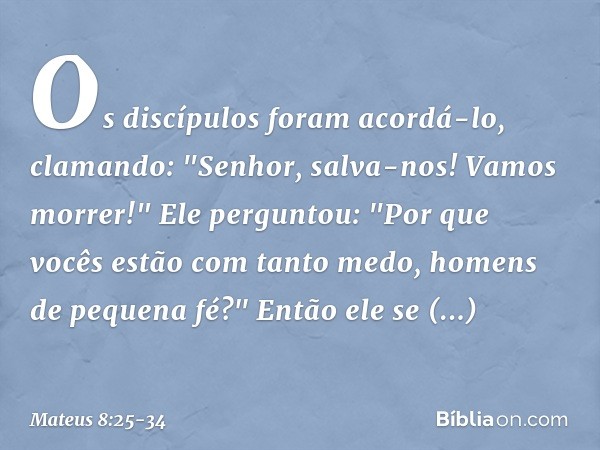 Os discípulos foram acordá-lo, clamando: "Senhor, salva-nos! Vamos morrer!" Ele perguntou: "Por que vocês estão com tanto medo, homens de pequena fé?" Então ele