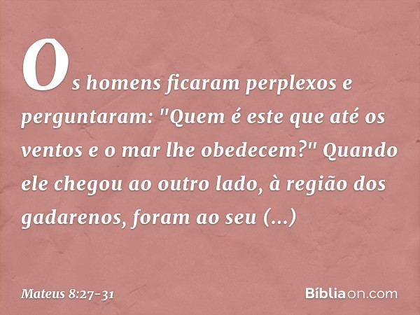 Os homens ficaram perplexos e perguntaram: "Quem é este que até os ventos e o mar lhe obedecem?" Quando ele chegou ao outro lado, à região dos gadarenos, foram