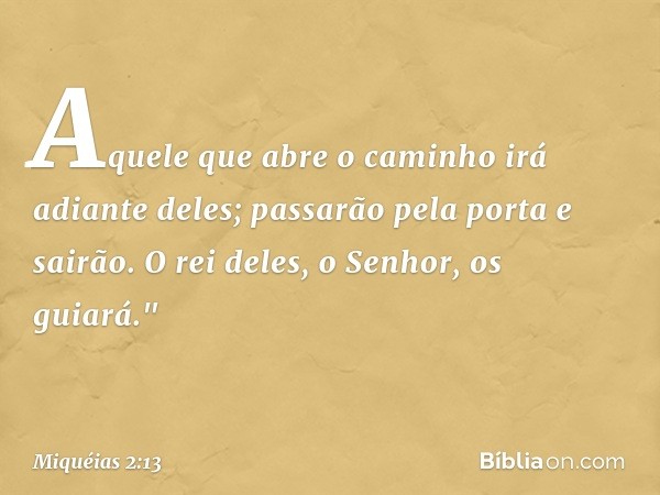 Aquele que abre o caminho
irá adiante deles;
passarão pela porta e sairão.
O rei deles, o Senhor, os guiará." -- Miquéias 2:13