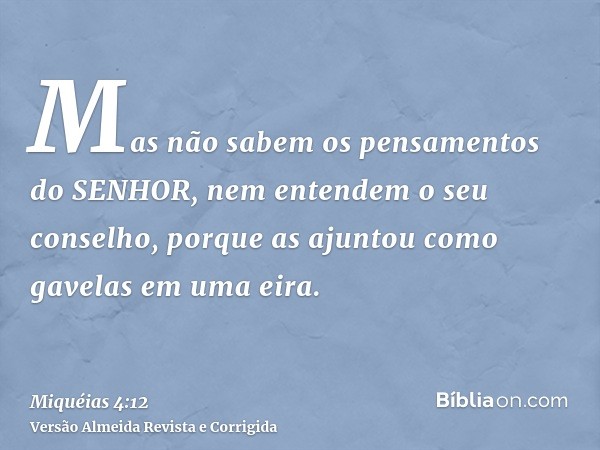 Mas não sabem os pensamentos do SENHOR, nem entendem o seu conselho, porque as ajuntou como gavelas em uma eira.