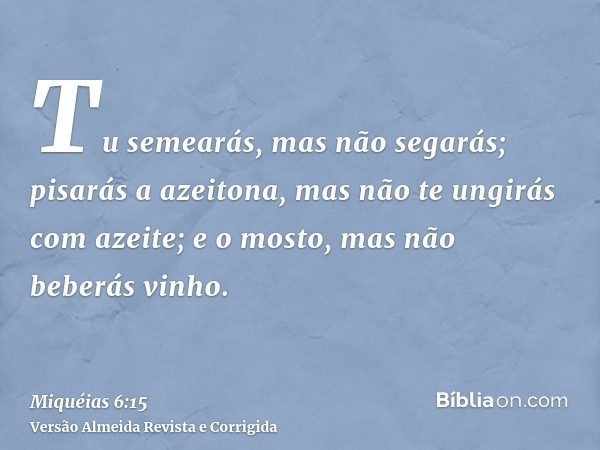 Tu semearás, mas não segarás; pisarás a azeitona, mas não te ungirás com azeite; e o mosto, mas não beberás vinho.
