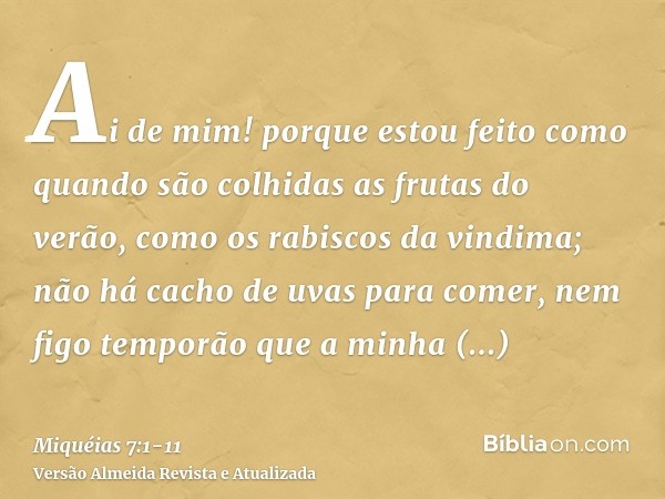 Ai de mim! porque estou feito como quando são colhidas as frutas do verão, como os rabiscos da vindima; não há cacho de uvas para comer, nem figo temporão que a