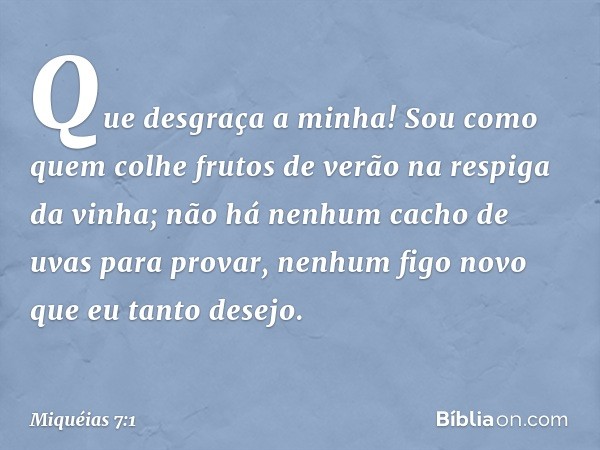 Que desgraça a minha!
Sou como quem colhe frutos de verão
na respiga da vinha;
não há nenhum cacho de uvas
para provar,
nenhum figo novo que eu tanto desejo. --