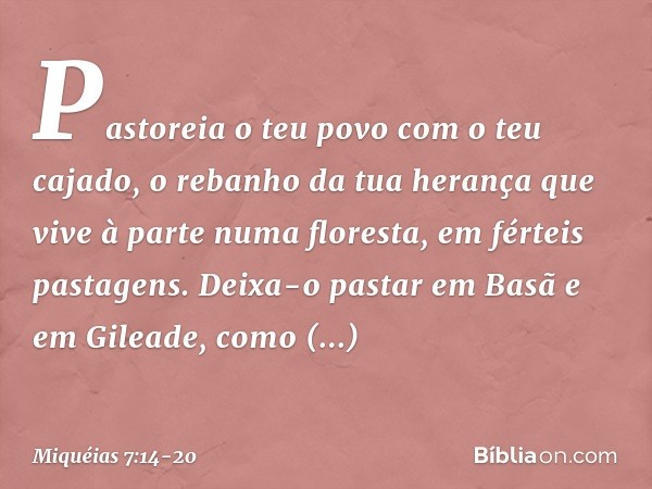 Pastoreia o teu povo com o teu cajado,
o rebanho da tua herança
que vive à parte numa floresta,
em férteis pastagens.
Deixa-o pastar em Basã e em Gileade,
como 