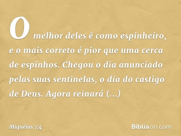 O melhor deles é como espinheiro,
e o mais correto
é pior que uma cerca de espinhos.
Chegou o dia anunciado
pelas suas sentinelas,
o dia do castigo de Deus.
Ago