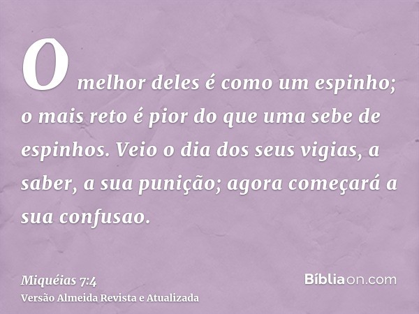 O melhor deles é como um espinho; o mais reto é pior do que uma sebe de espinhos. Veio o dia dos seus vigias, a saber, a sua punição; agora começará a sua confu