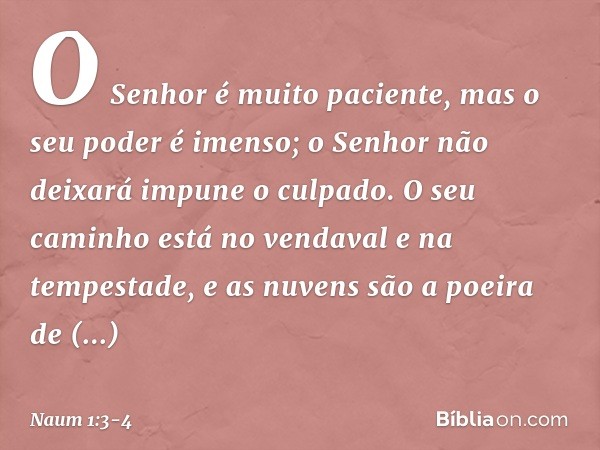 O Senhor é muito paciente,
mas o seu poder é imenso;
o Senhor não deixará impune o culpado.
O seu caminho está no vendaval
e na tempestade,
e as nuvens são a po