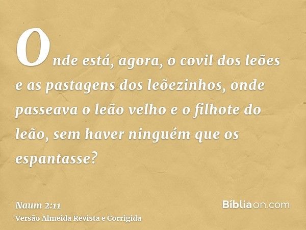Onde está, agora, o covil dos leões e as pastagens dos leõezinhos, onde passeava o leão velho e o filhote do leão, sem haver ninguém que os espantasse?