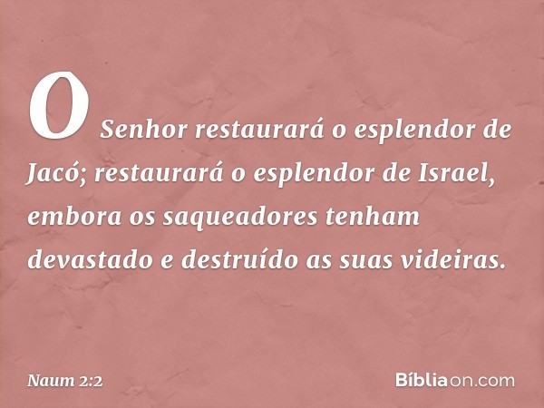 O Senhor restaurará
o esplendor de Jacó;
restaurará o esplendor de Israel,
embora os saqueadores
tenham devastado e destruído
as suas videiras. -- Naum 2:2