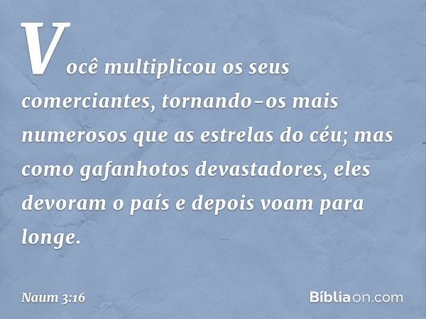 Você multiplicou os seus comerciantes,
tornando-os mais numerosos
que as estrelas do céu;
mas como gafanhotos devastadores,
eles devoram o país
e depois voam pa