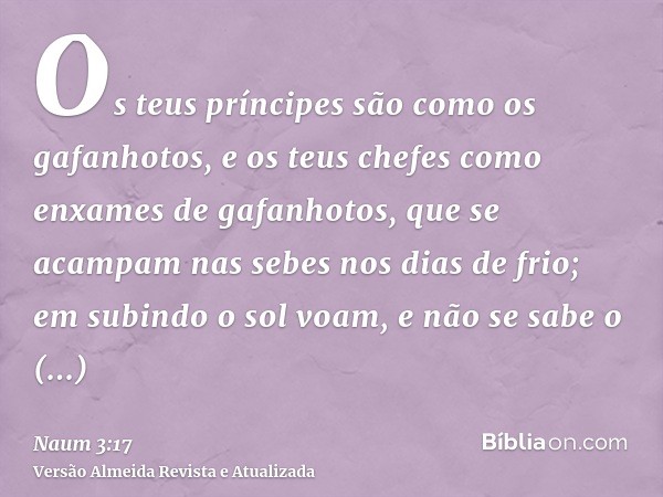 Os teus príncipes são como os gafanhotos, e os teus chefes como enxames de gafanhotos, que se acampam nas sebes nos dias de frio; em subindo o sol voam, e não s