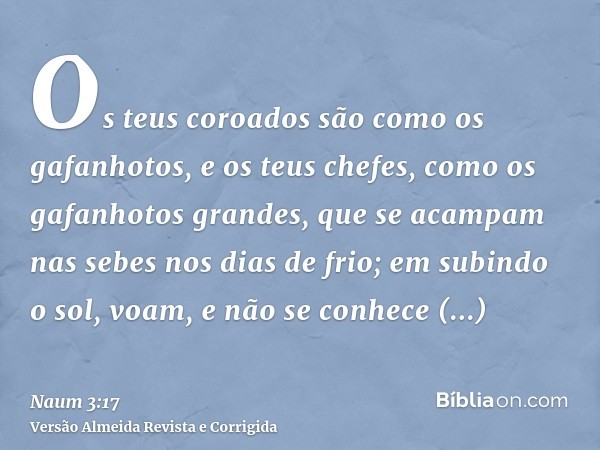 Os teus coroados são como os gafanhotos, e os teus chefes, como os gafanhotos grandes, que se acampam nas sebes nos dias de frio; em subindo o sol, voam, e não 