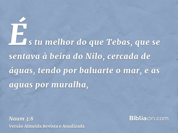 És tu melhor do que Tebas, que se sentava à beira do Nilo, cercada de águas, tendo por baluarte o mar, e as aguas por muralha,