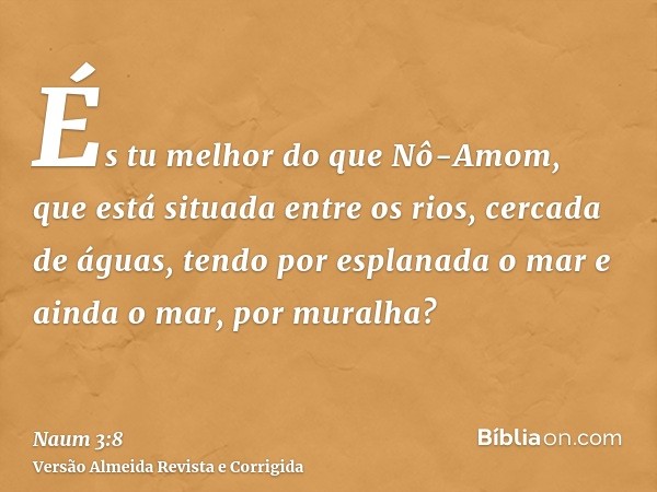 És tu melhor do que Nô-Amom, que está situada entre os rios, cercada de águas, tendo por esplanada o mar e ainda o mar, por muralha?