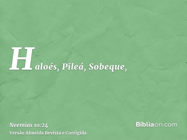 Haloés, Pileá, Sobeque,