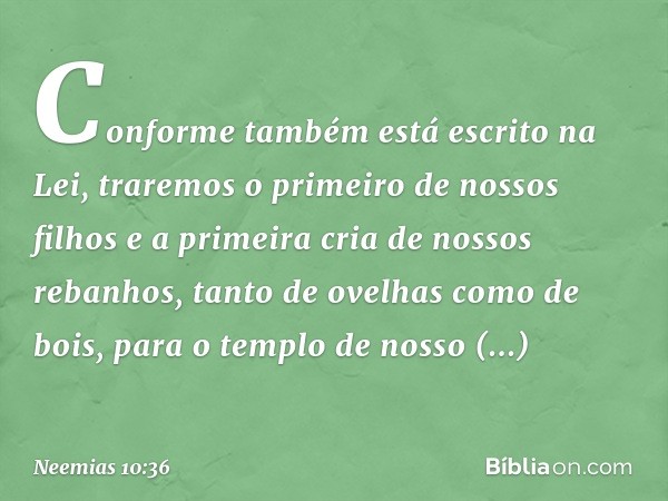 "Conforme também está escrito na Lei, traremos o primeiro de nossos filhos e a primeira cria de nossos rebanhos, tanto de ovelhas como de bois, para o templo de