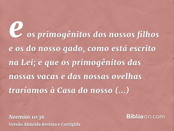 e os primogênitos dos nossos filhos e os do nosso gado, como está escrito na Lei; e que os primogênitos das nossas vacas e das nossas ovelhas traríamos à Casa d