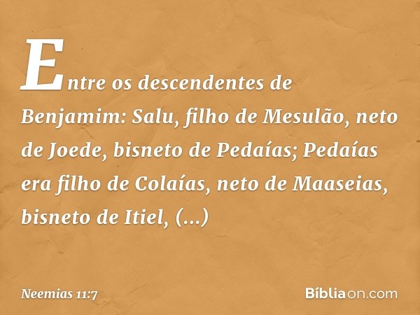 Entre os descendentes de Benjamim:
Salu, filho de Mesulão, neto de Joede, bisneto de Pedaías; Pedaías era filho de Cola­ías, neto de Maaseias, bisneto de Itiel,