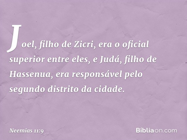 Joel, filho de Zicri, era o oficial superior entre eles, e Judá, filho de Hassenua, era responsável pelo segundo distrito da cidade. -- Neemias 11:9