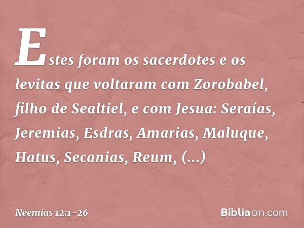 Estes foram os sacerdotes e os levitas que voltaram com Zorobabel, filho de Sealtiel, e com Jesua:
Seraías, Jeremias, Esdras, Amarias, Maluque, Hatus, Secanias,