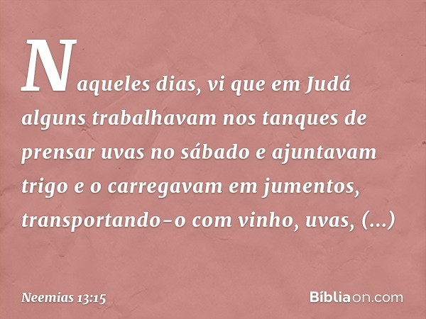 Naqueles dias, vi que em Judá alguns trabalhavam nos tanques de prensar uvas no sábado e ajuntavam trigo e o carregavam em jumentos, transportando-o com vinho, 