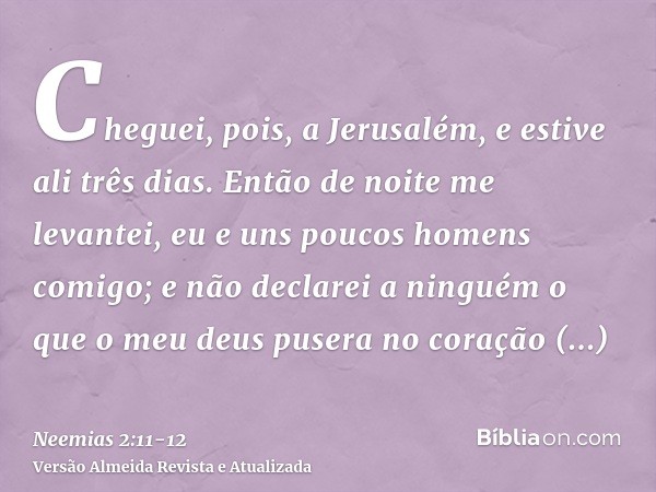 Cheguei, pois, a Jerusalém, e estive ali três dias.Então de noite me levantei, eu e uns poucos homens comigo; e não declarei a ninguém o que o meu deus pusera n