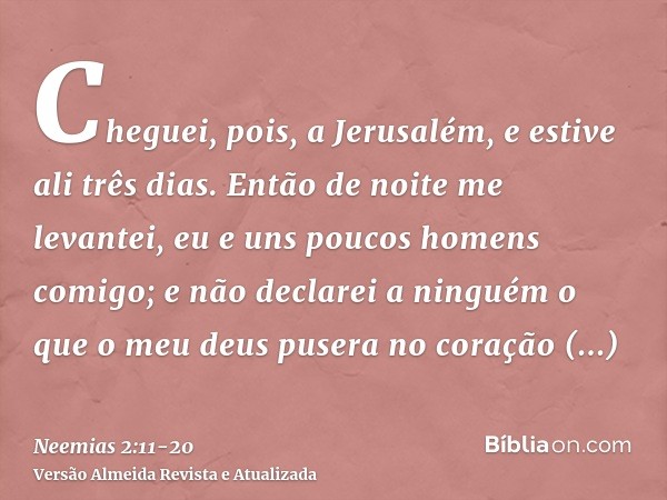 Cheguei, pois, a Jerusalém, e estive ali três dias.Então de noite me levantei, eu e uns poucos homens comigo; e não declarei a ninguém o que o meu deus pusera n